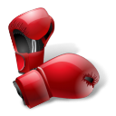 Boxing icon i28